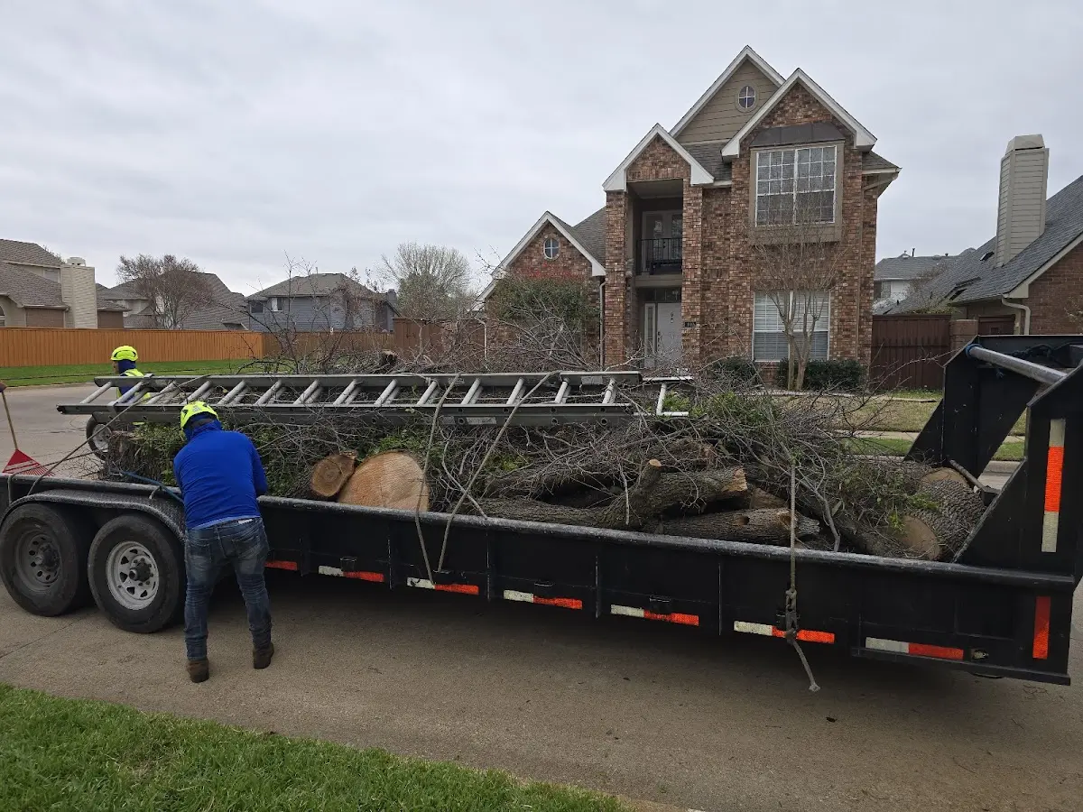 Expert Tree Pest Control with proper safety equipment in Travis Afb